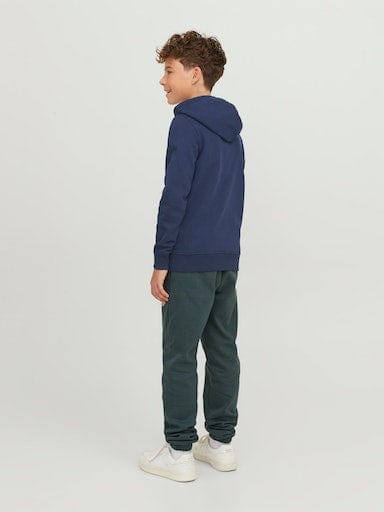 Sudadera con capucha- JORARTHUR Azul marino