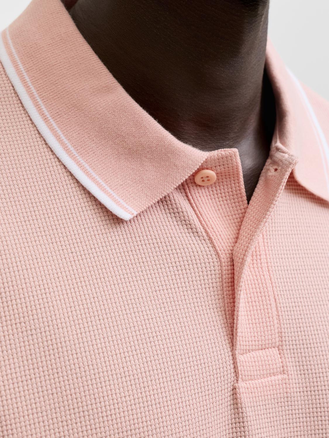 model_shot-detail
