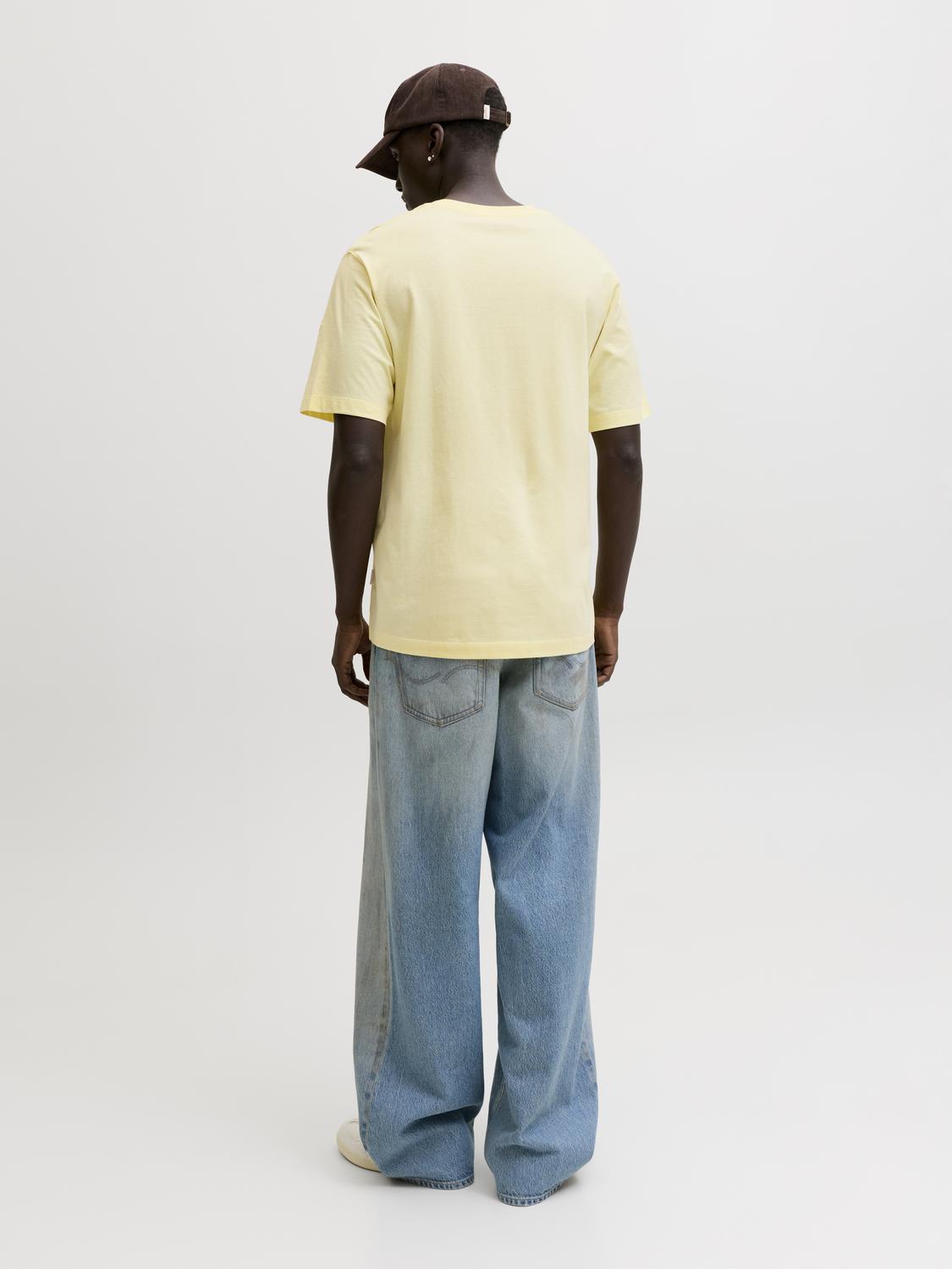 model_shot-back