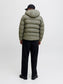 model_shot-back