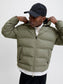 model_shot-creative