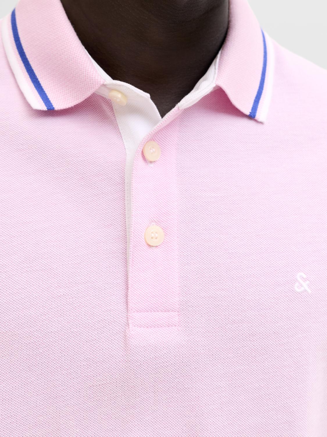 model_shot-detail