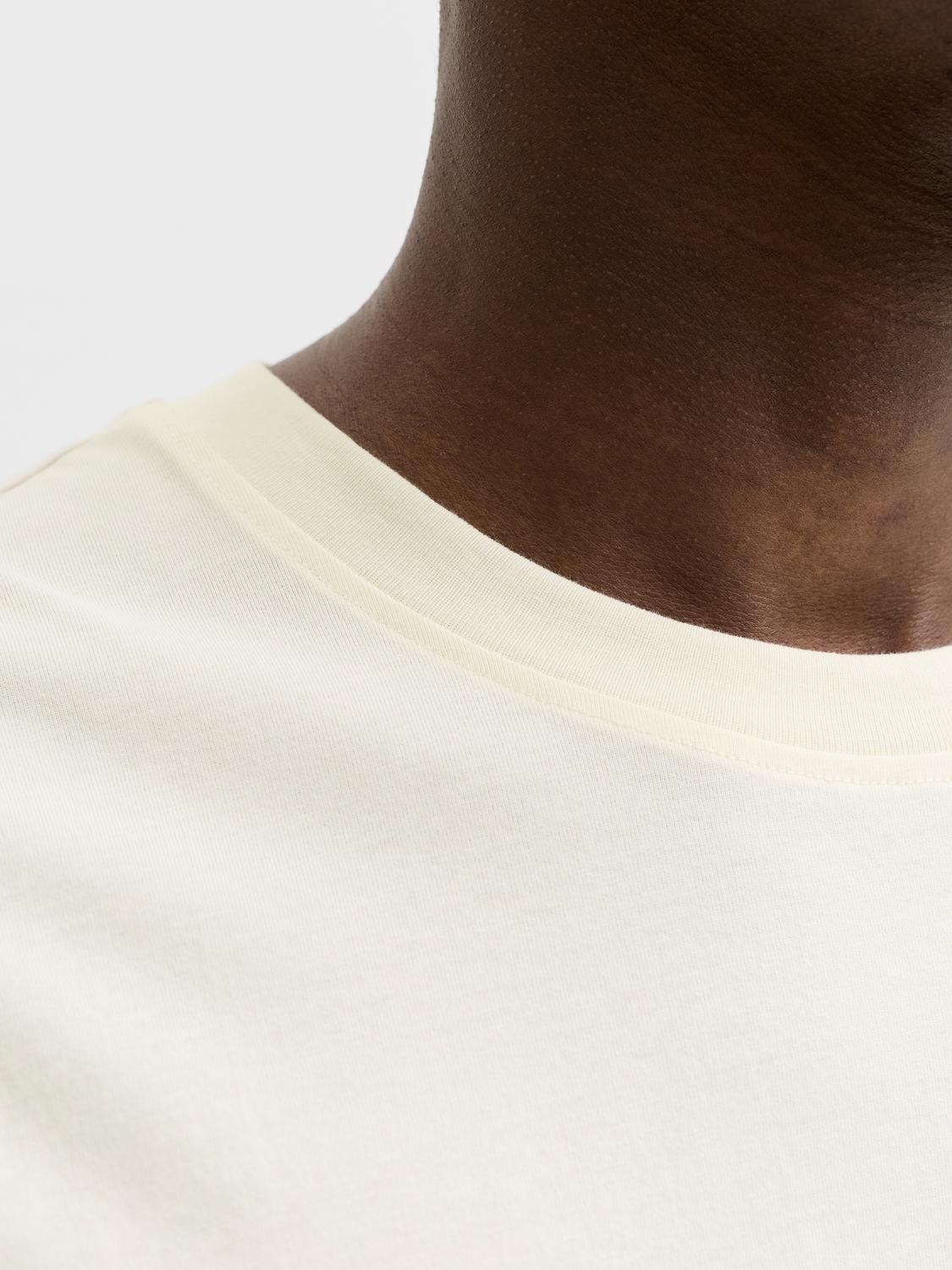 model_shot-detail