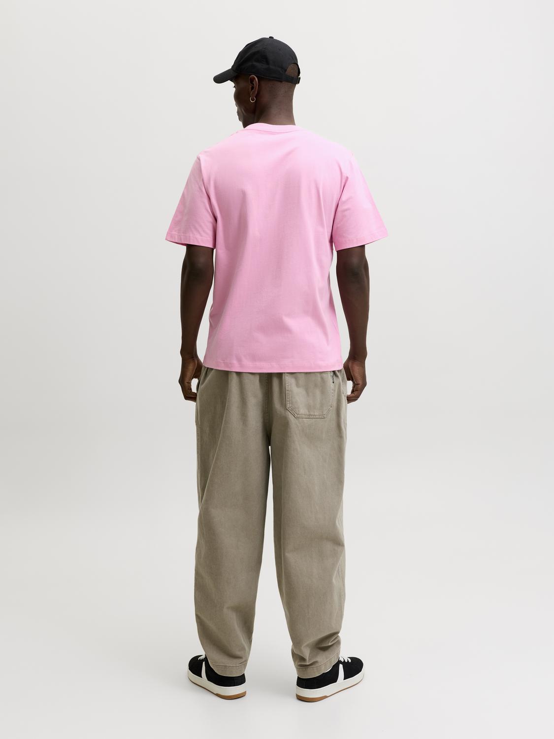 model_shot-back