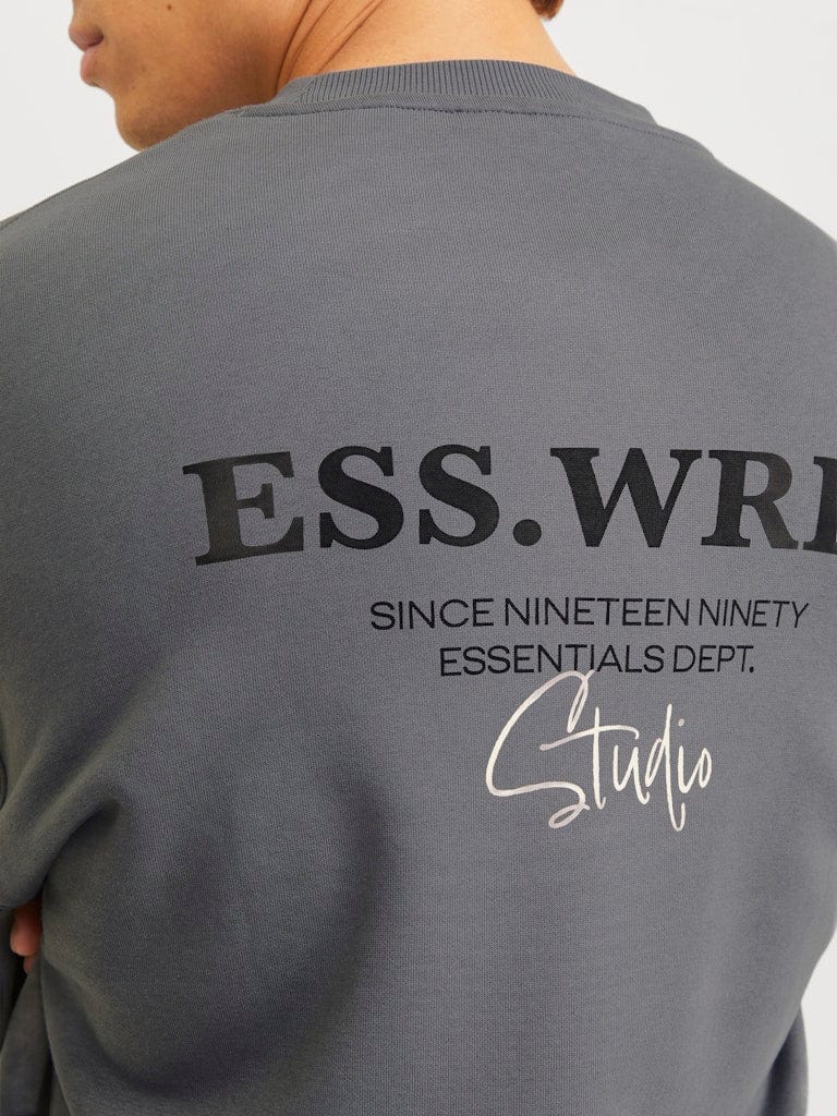 Sudadera con backprint gris - JJEURBAN