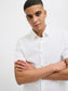 model_shot-creative