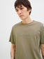 model_shot-creative