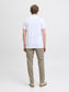 model_shot-back