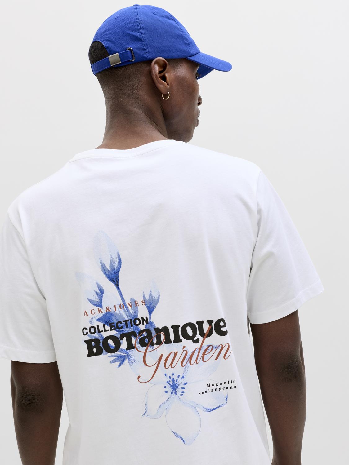 model_shot-creative