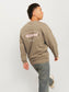 model_shot-creative
