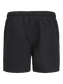 pack_shot-back