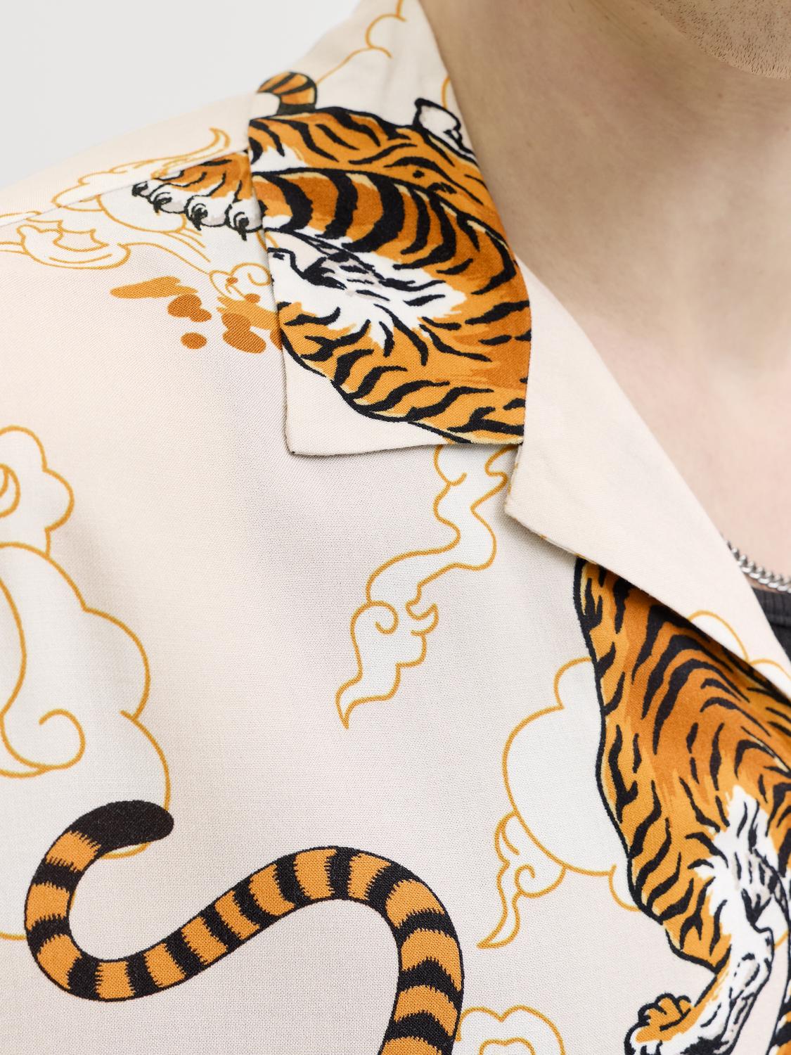 model_shot-detail