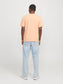 model_shot-back