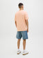 model_shot-back