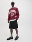 model_shot-creative
