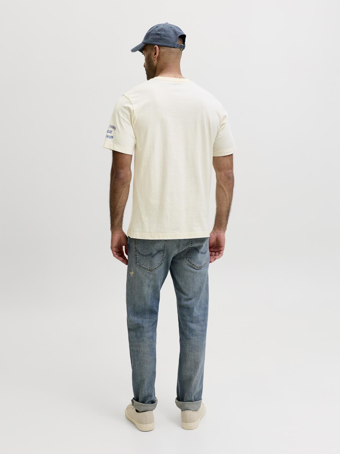 model_shot-back