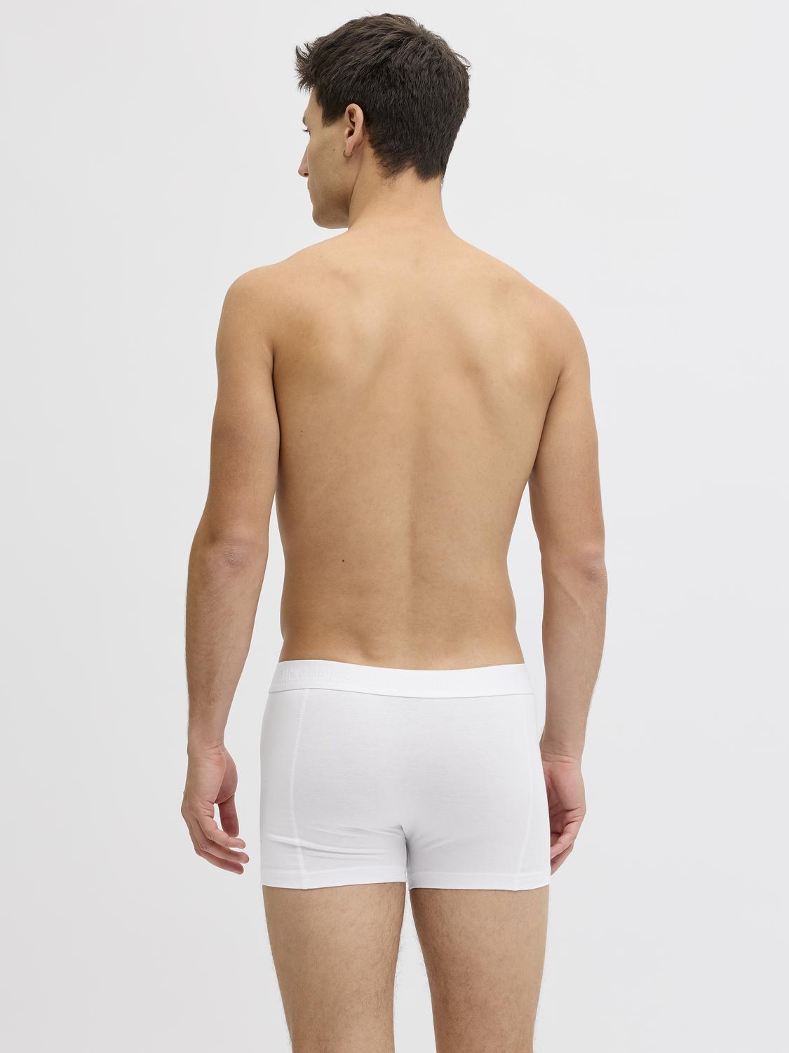 model_shot-back