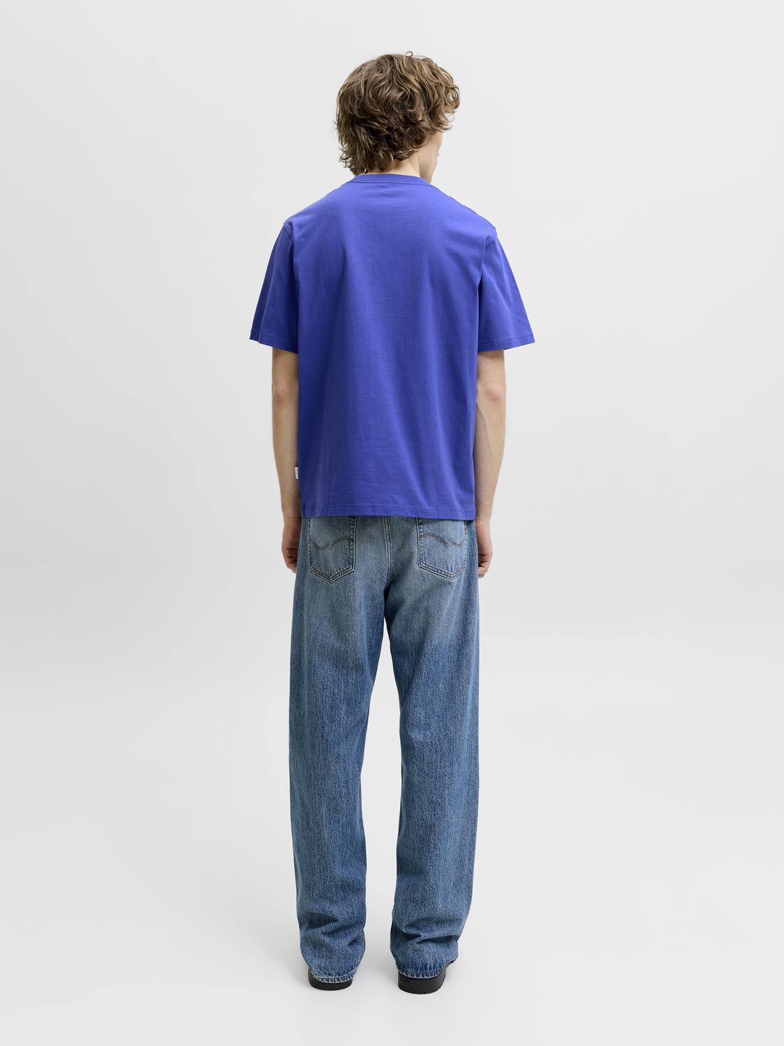 model_shot-back
