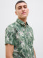 model_shot-creative