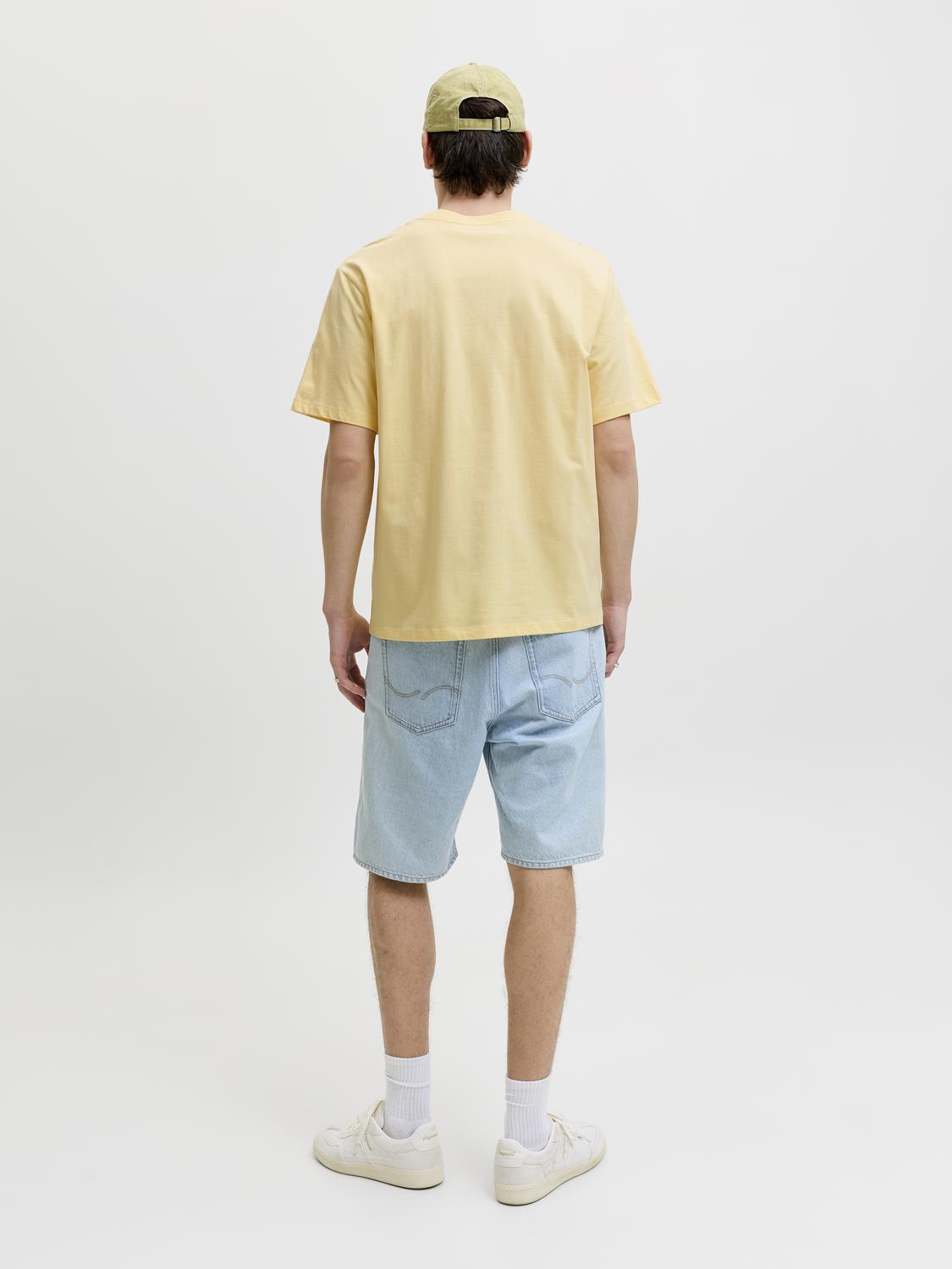 model_shot-back