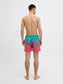 model_shot-back