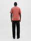model_shot-back