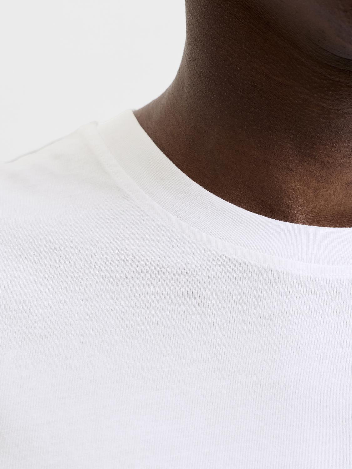 model_shot-detail