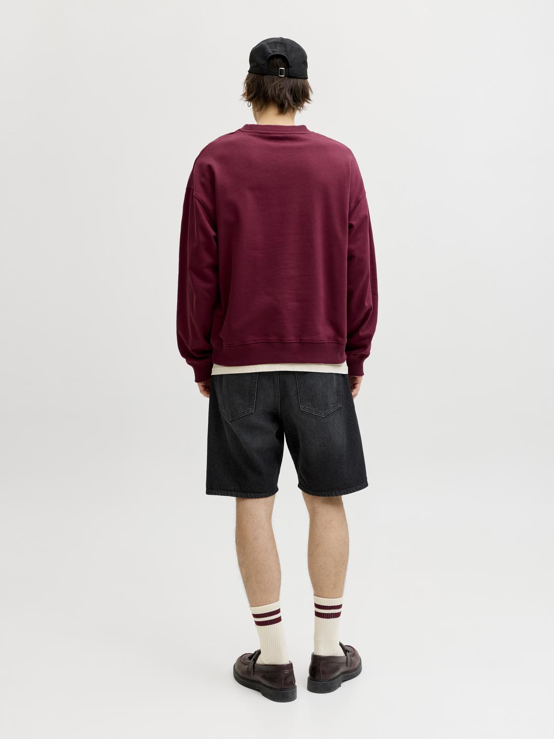 model_shot-back