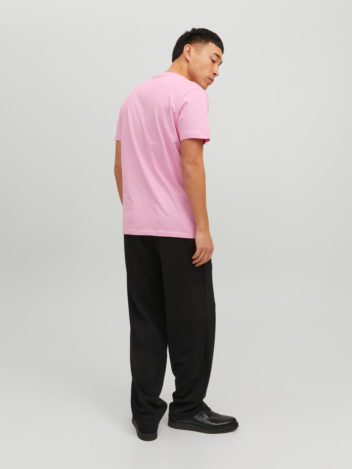 model_shot-back