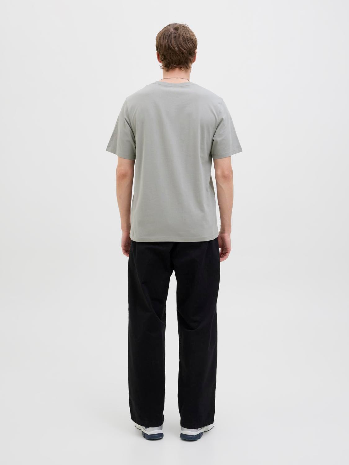 model_shot-back