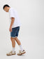 model_shot-creative