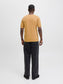 model_shot-back