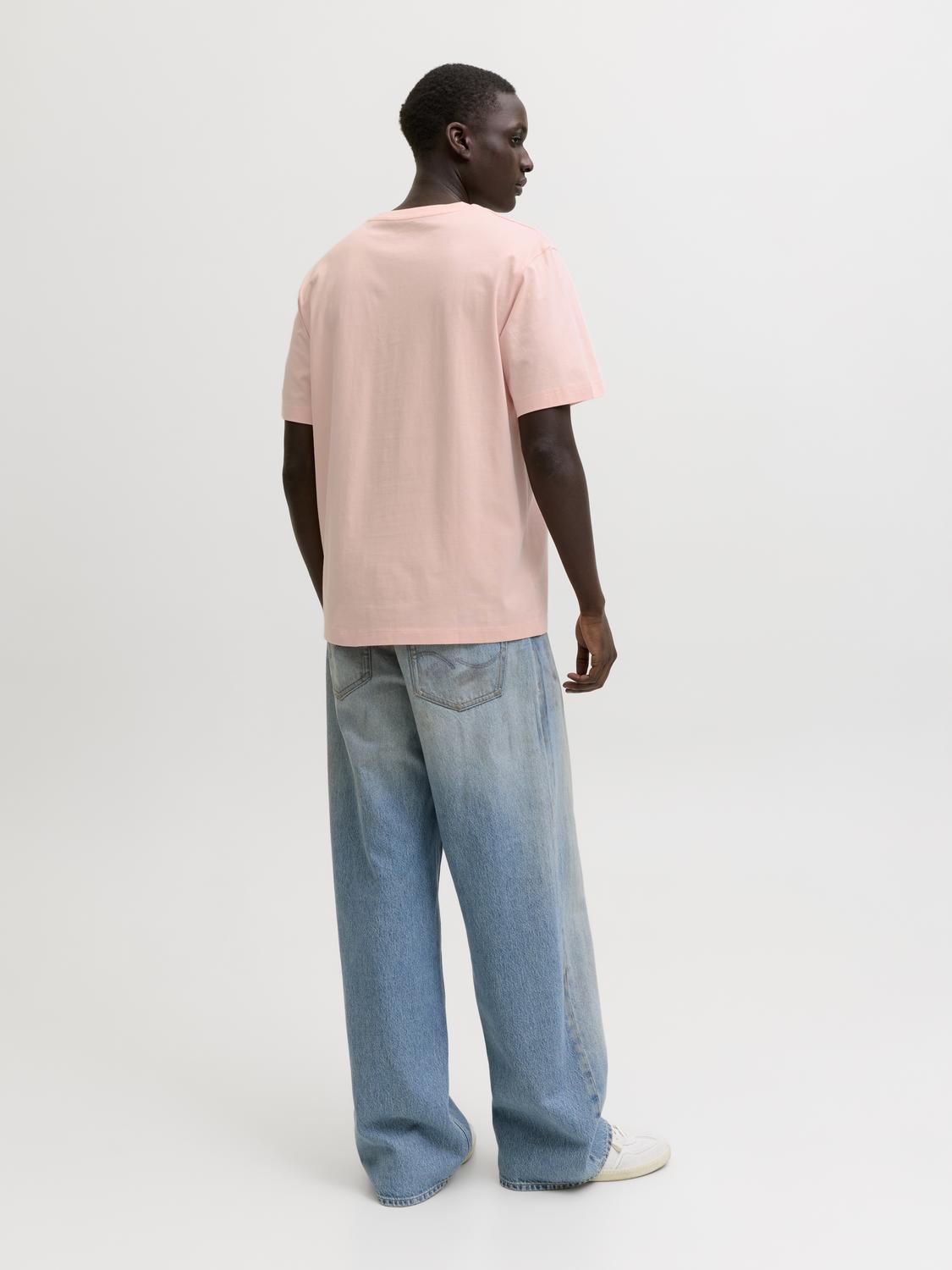 model_shot-back