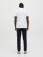 model_shot-back