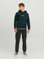 Sudadera básica JORVESTERBRO Verde